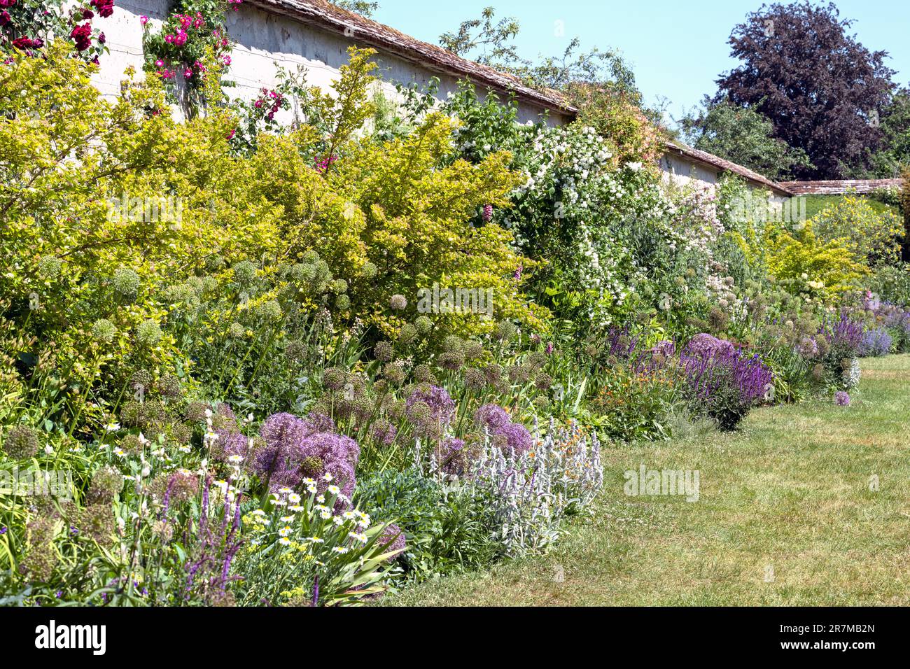 Vue sur le paysage de la frontière herbacée dans le domaine de Houghton Lodge, Houghton, Test Valley, Hampshire, Angleterre, ROYAUME-UNI Banque D'Images