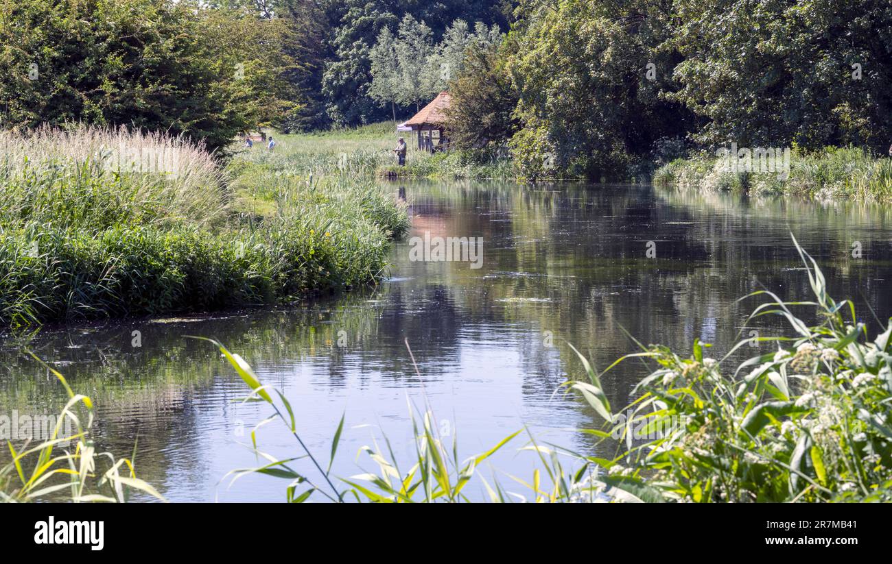 Vue sur le paysage du River Test à Houghton, Test Valley, Hampshire, Angleterre, Royaume-Uni. Banque D'Images