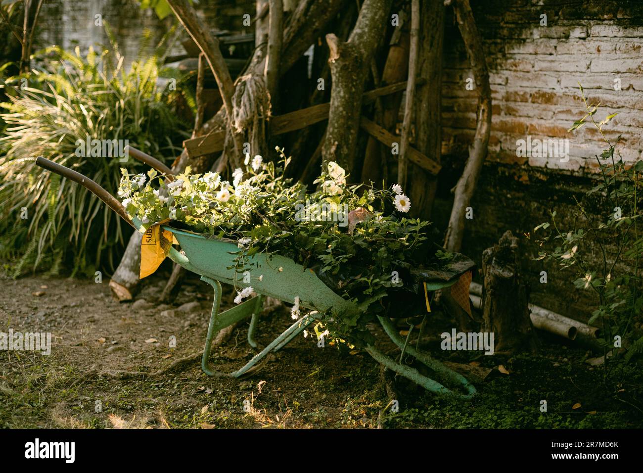 Une scène extérieure avec une brouette verte remplie de fleurs, située à côté d'une clôture en bois Banque D'Images