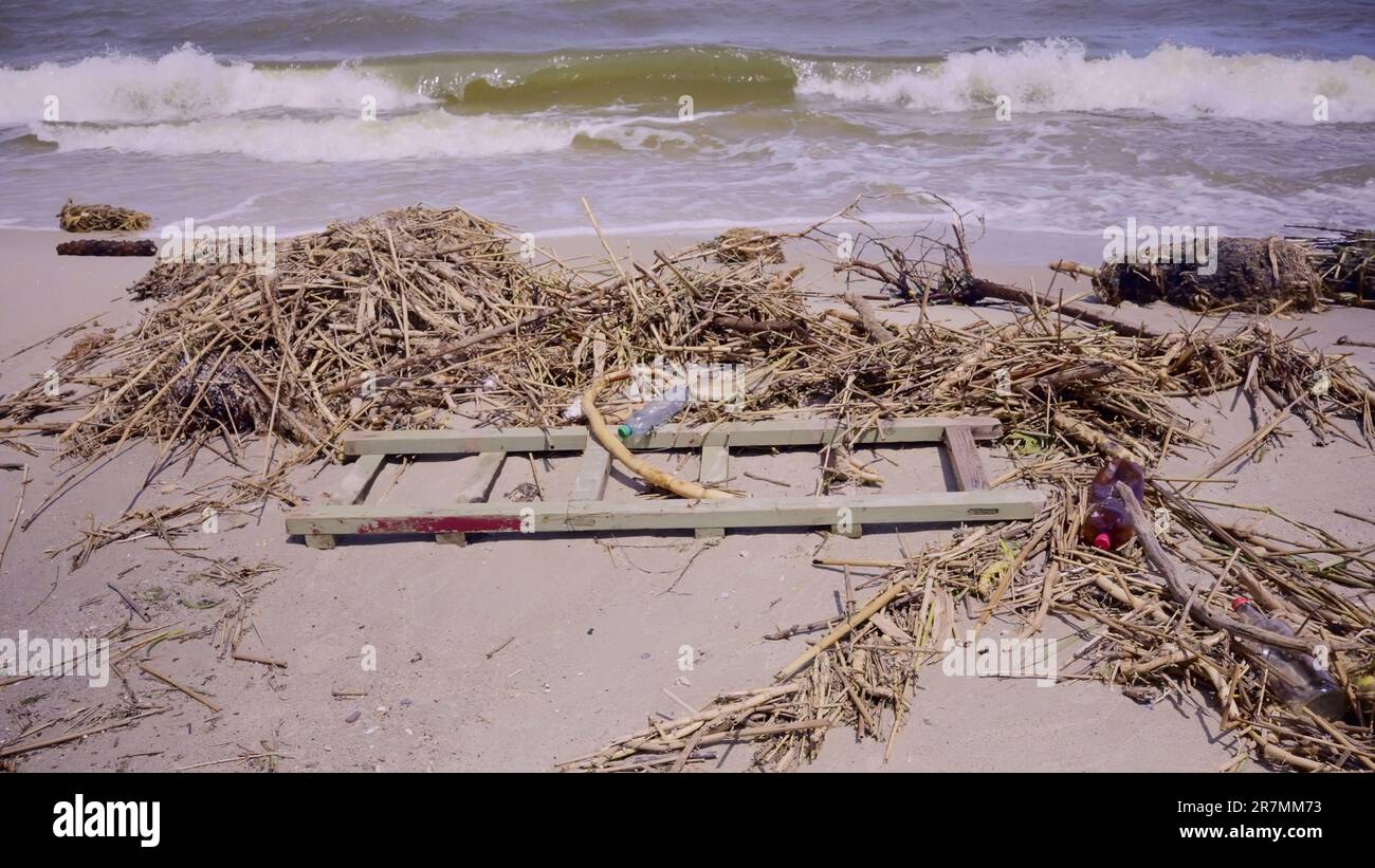 Des débris flottants ont atteint les plages de la mer Noire à Odessa, en Ukraine. Catastrophe environnementale causée par l'explosion de la centrale hydroélectrique de Kakhovka Banque D'Images