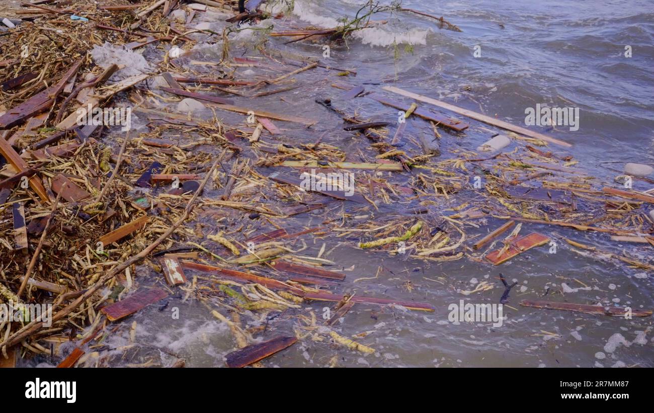 Un gros plan des débris flottants a atteint les plages de la mer Noire à Odessa, en Ukraine. Catastrophe environnementale causée par l'explosion de l'hydroélectricité de Kakhovka Banque D'Images
