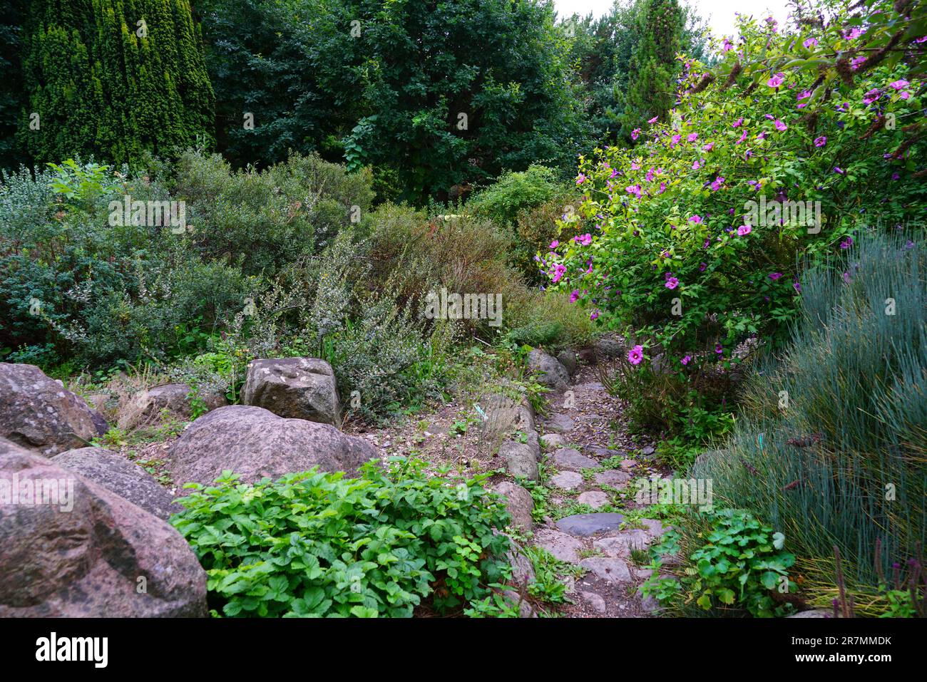 AARHUS, DANEMARK -26 AOÛT 2022 - vue sur les jardins botaniques d'Aarhus (Botanisk Hont) situé à Aarhus, la deuxième plus grande ville du Danemark située sur le Ju Banque D'Images