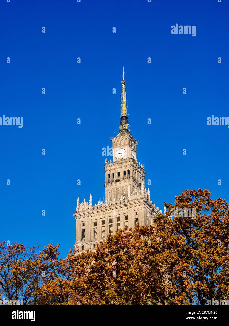 Palais de la Culture et de la Science, Varsovie, Voïvodeship de Masovian, Pologne Banque D'Images