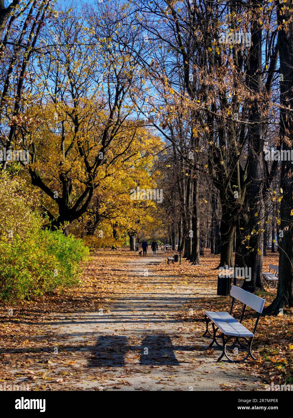 Saxon Garden, Varsovie, Voïvodeship de Masovie, Pologne Banque D'Images