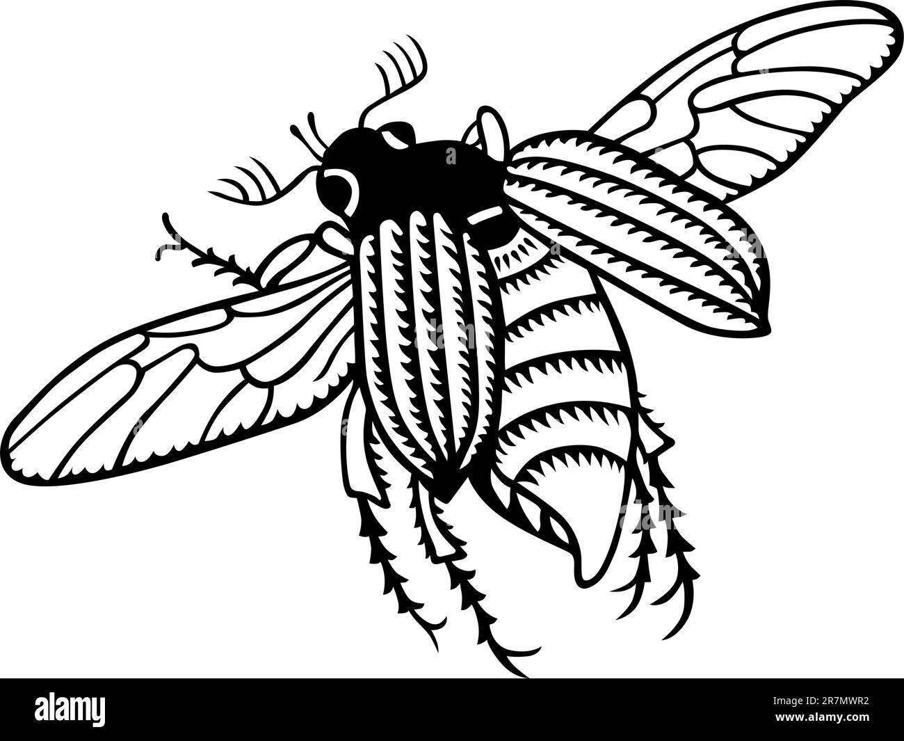 Insecte volant sur blanc Illustration de Vecteur