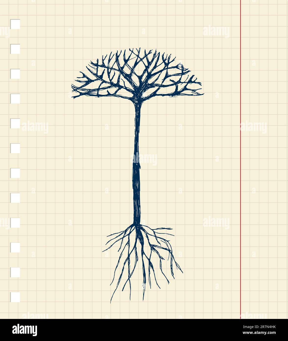 Arbre avec des racines Banque d'images vectorielles - Alamy