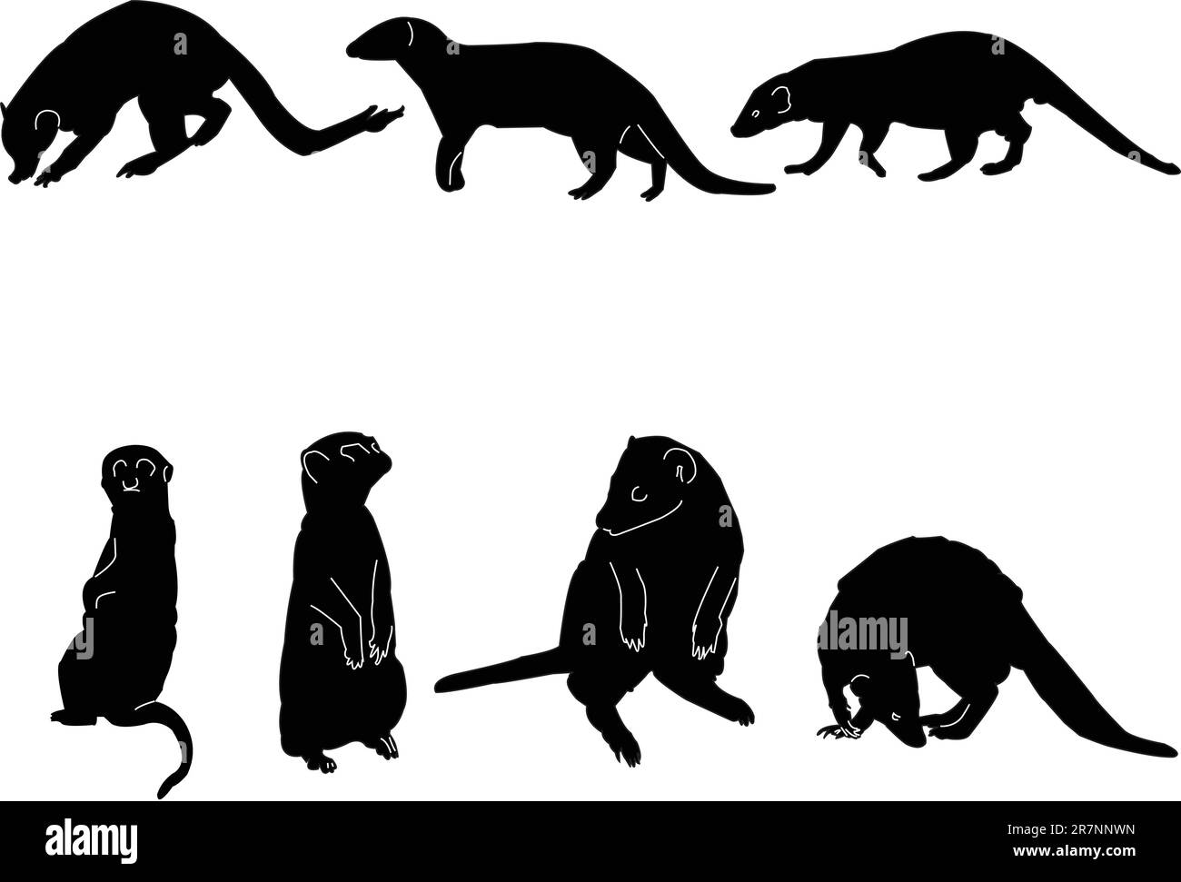 illustration de la collection mongoose - vecteur Illustration de Vecteur
