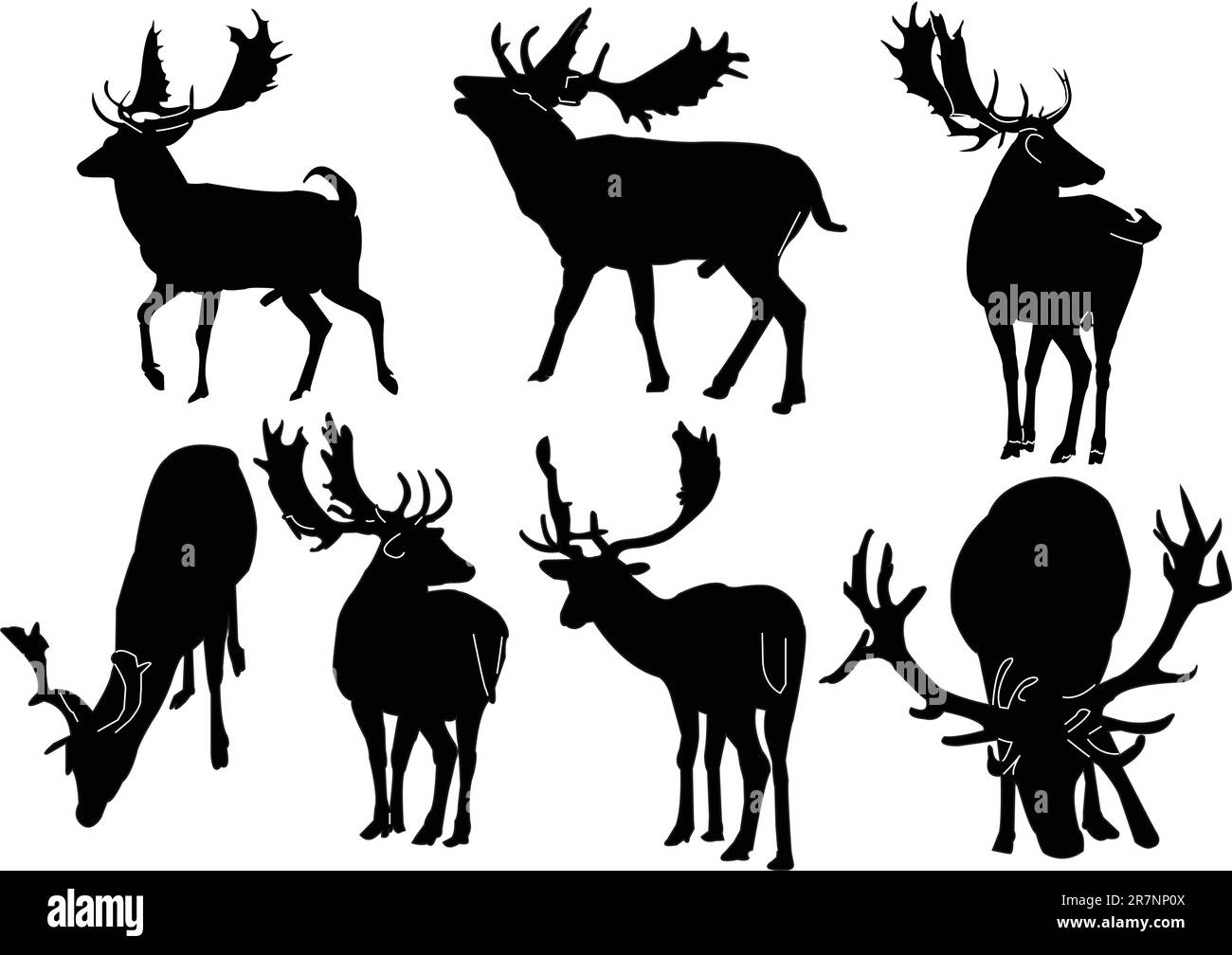 collection deers - vecteur Illustration de Vecteur