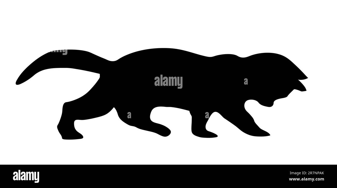 Silhouette vecteur chat sur fond blanc Illustration de Vecteur