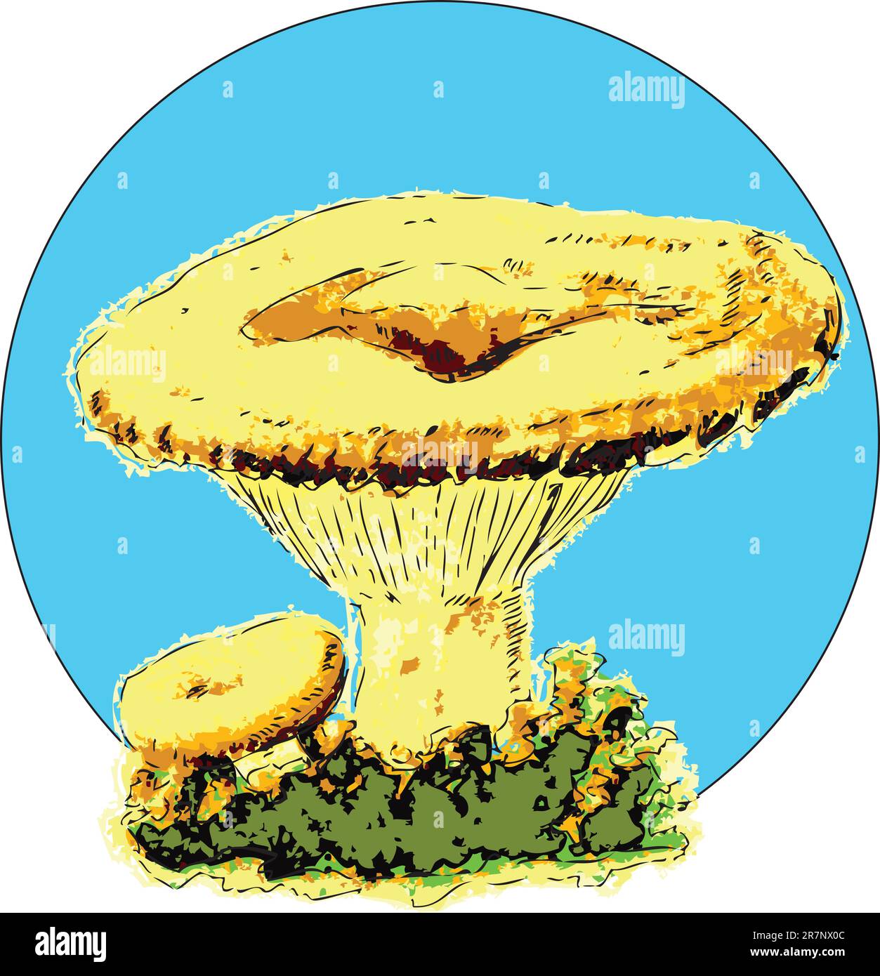 Illustration vectorielle du champignon du lait, champignon comestible. Illustration dans EPS. Illustration de Vecteur
