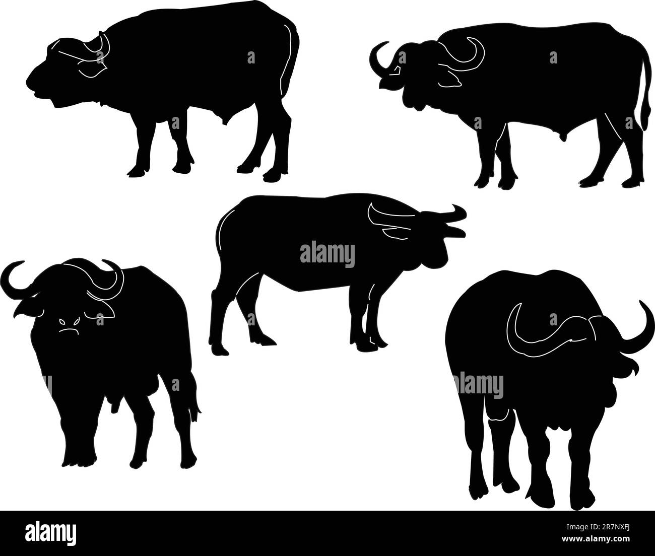 collection buffalo - vecteur Illustration de Vecteur