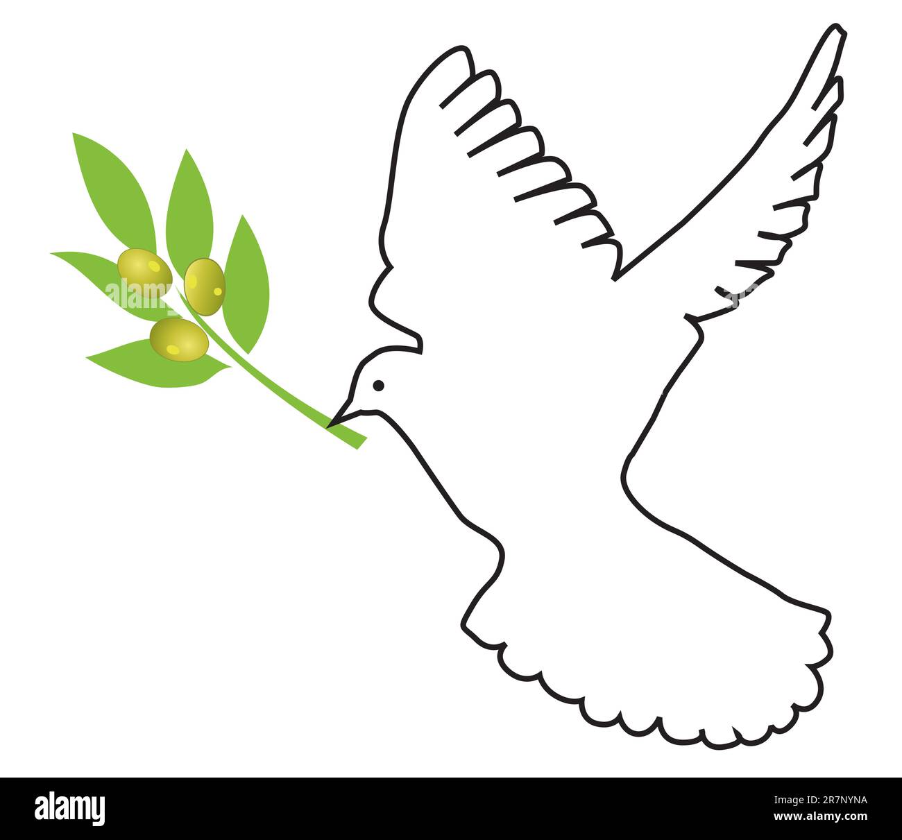 Illustration vectorielle de colombe avec branche d'olive Illustration de Vecteur