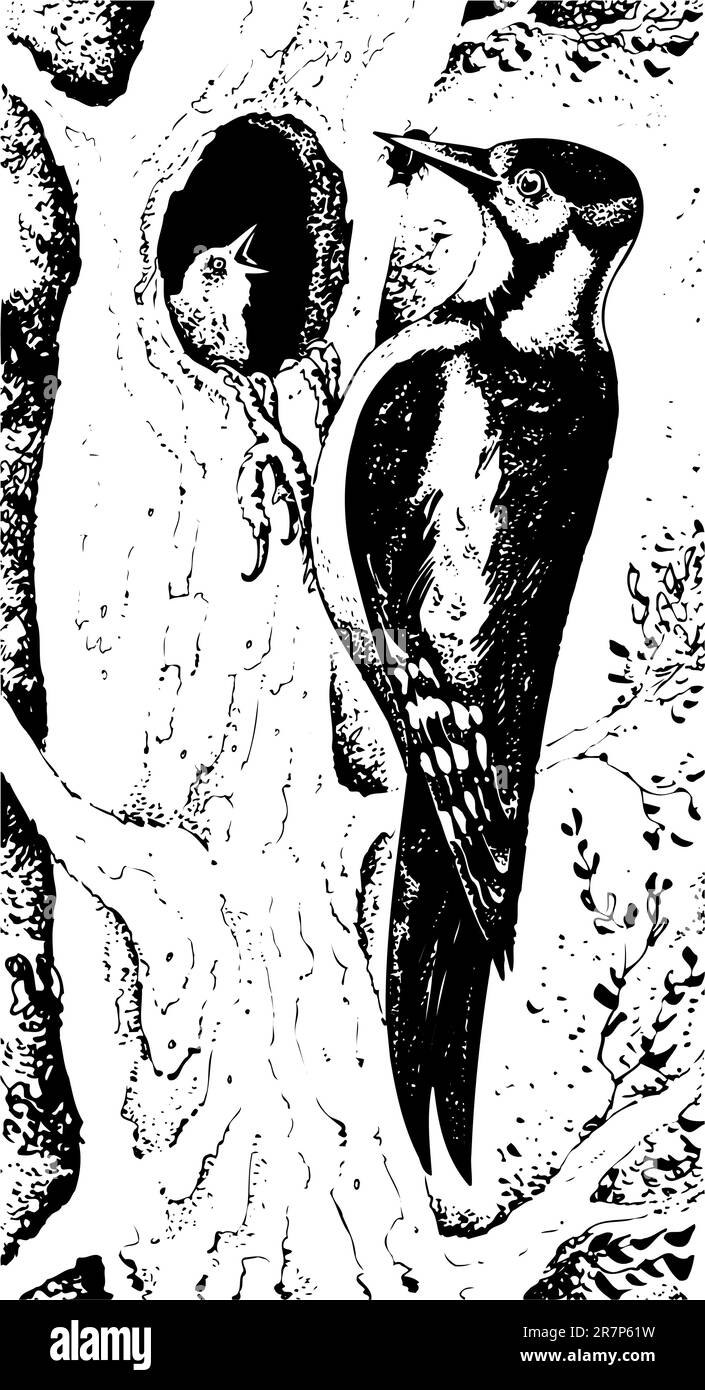 L'alimentation des oiseaux se niche sur l'arbre Illustration de Vecteur