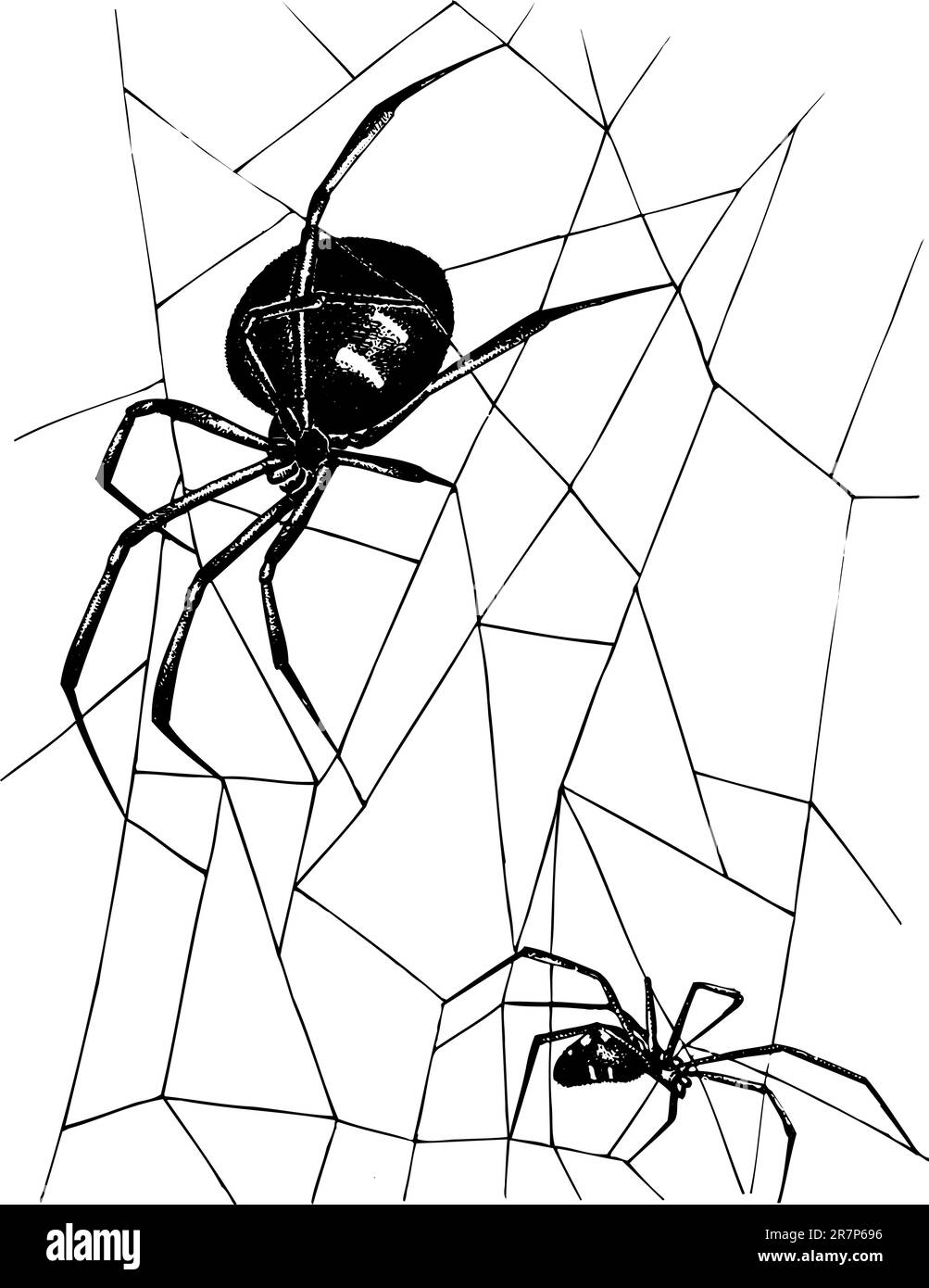 Les aiguilleurs sur le filet Illustration de Vecteur