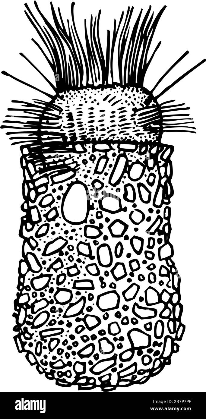 Cellule isolée sur blanc Illustration de Vecteur