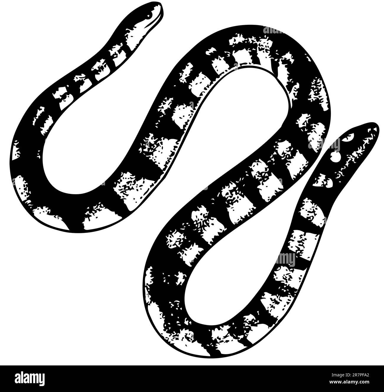 Serpent isolé sur blanc Illustration de Vecteur