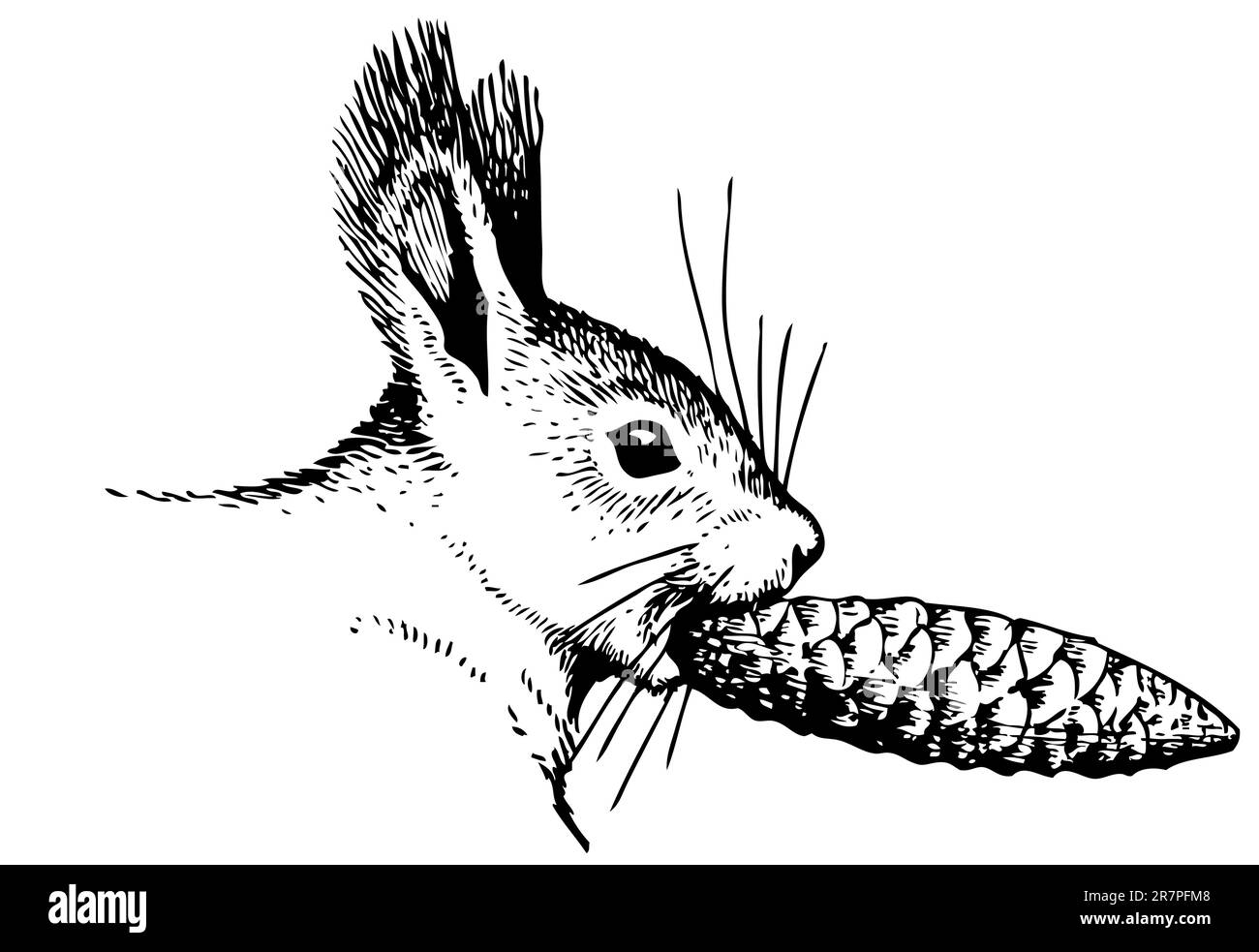 Cône de pin avec de l'écureuil Illustration de Vecteur