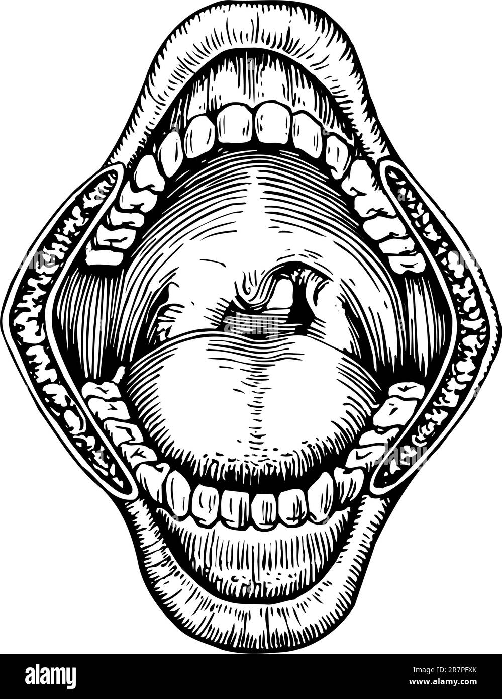 Cavité orale isolée sur blanc Illustration de Vecteur