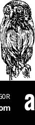 Oiseau isolé sur blanc Illustration de Vecteur Oiseau isolé sur blanc Illustration de Vecteur