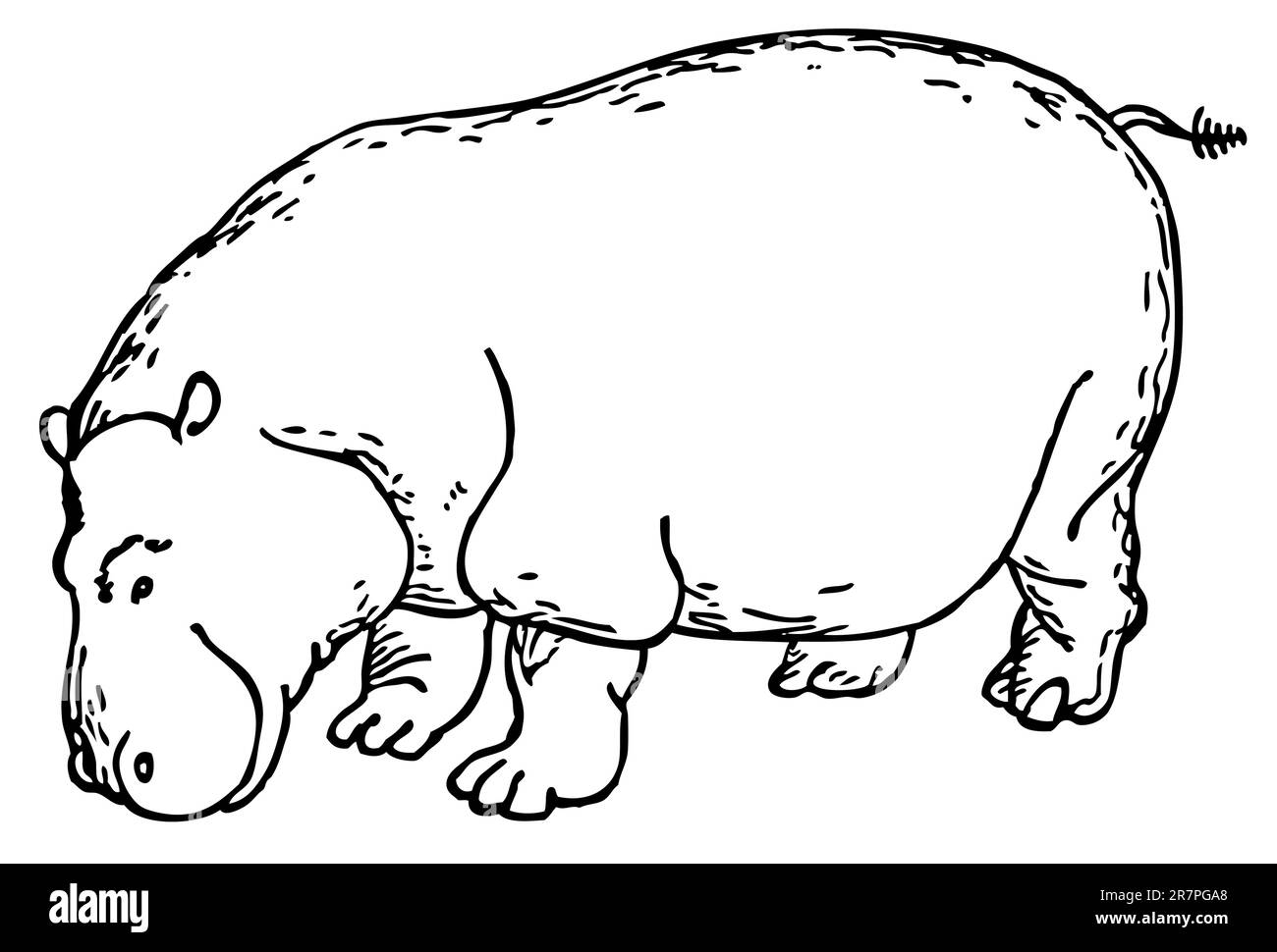Hippopotame isolé sur blanc Illustration de Vecteur