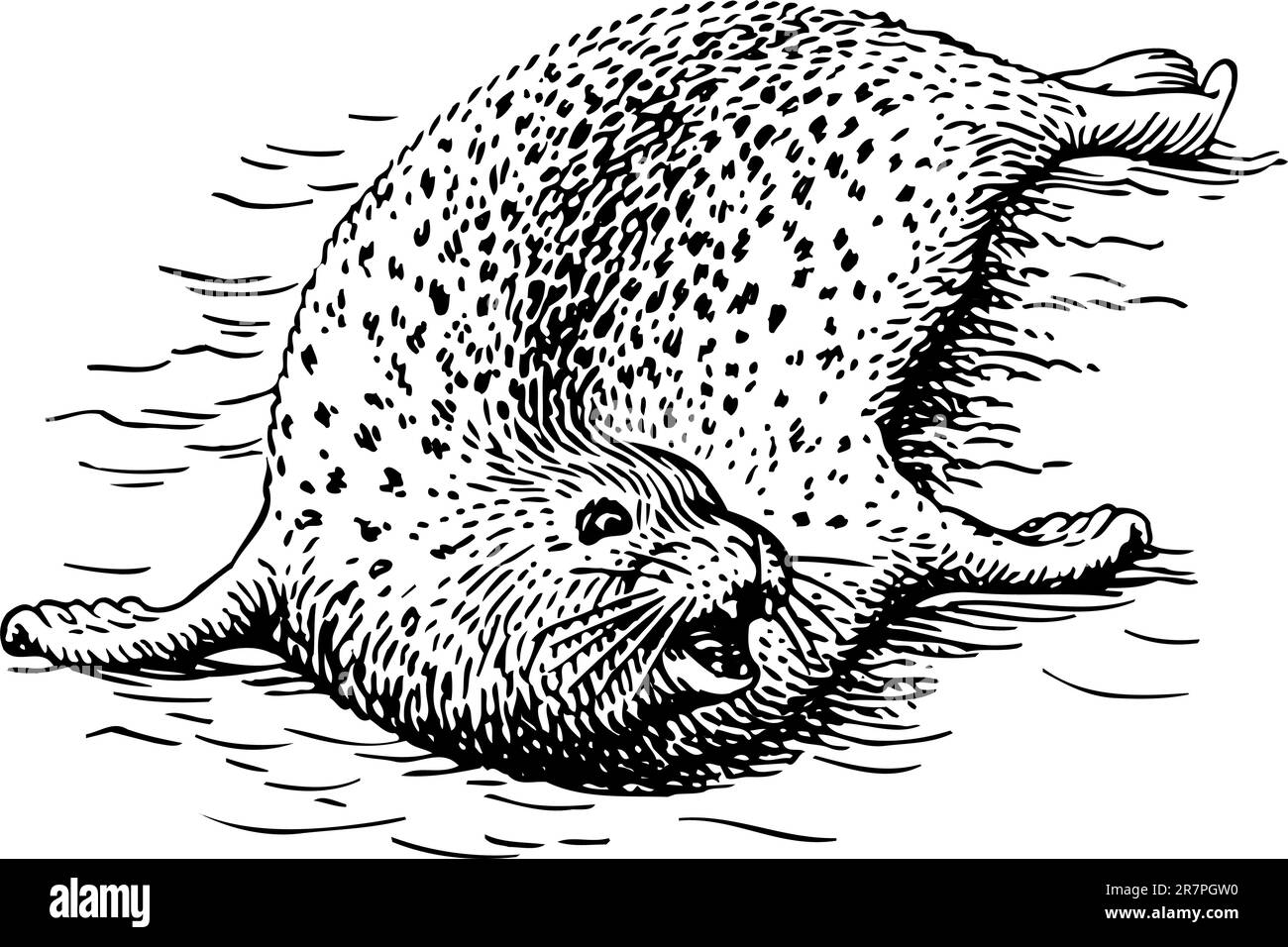 Joint dans l'eau Illustration de Vecteur