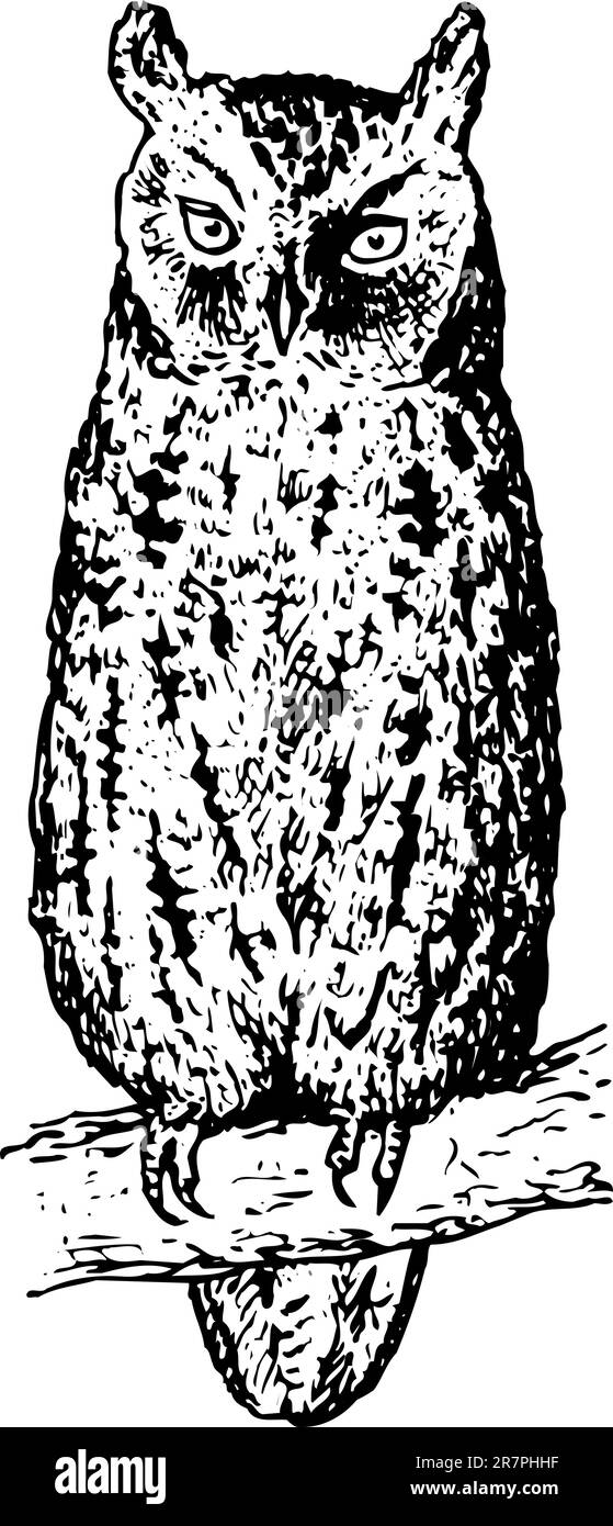 OWL otus sur l'arbre Illustration de Vecteur