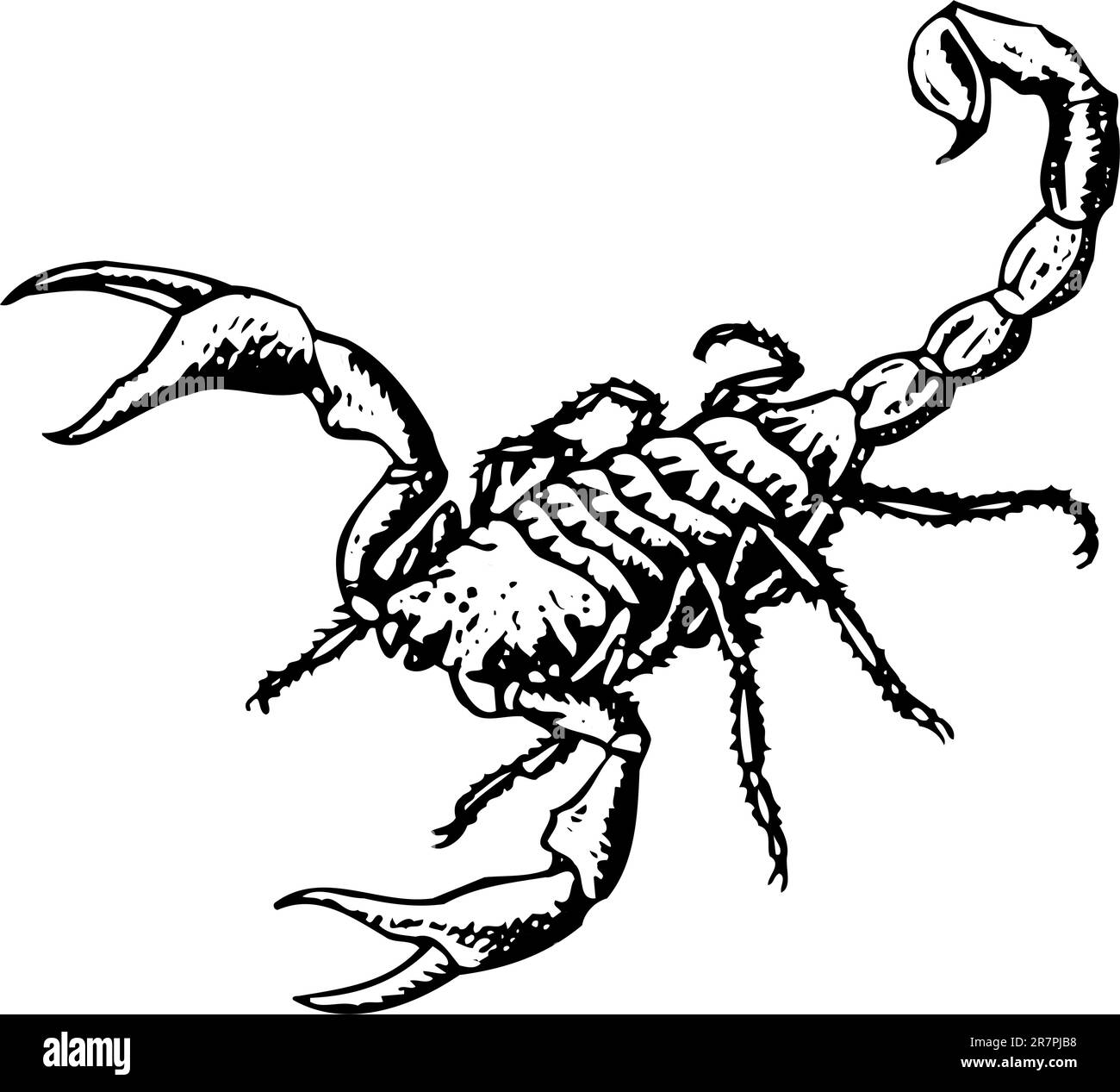 signe-du-scorpion-banque-d-images-noir-et-blanc-alamy