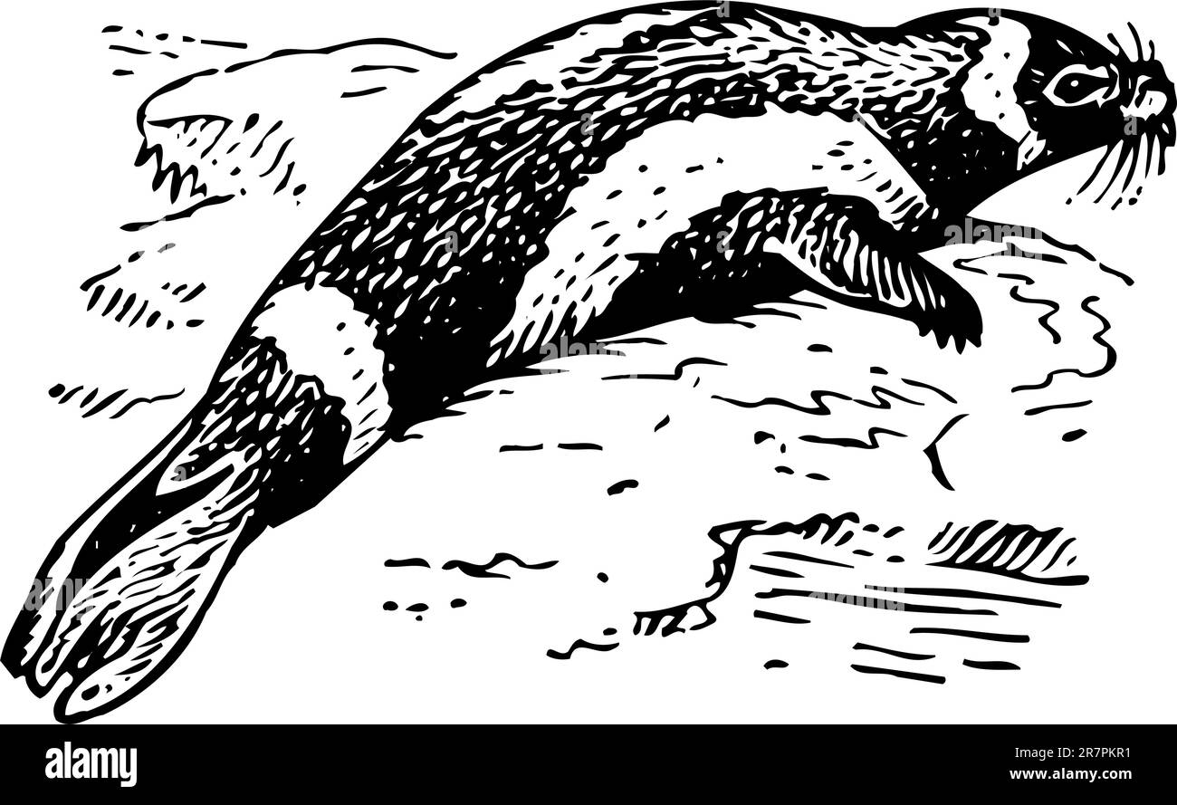 Joint dans l'eau Illustration de Vecteur