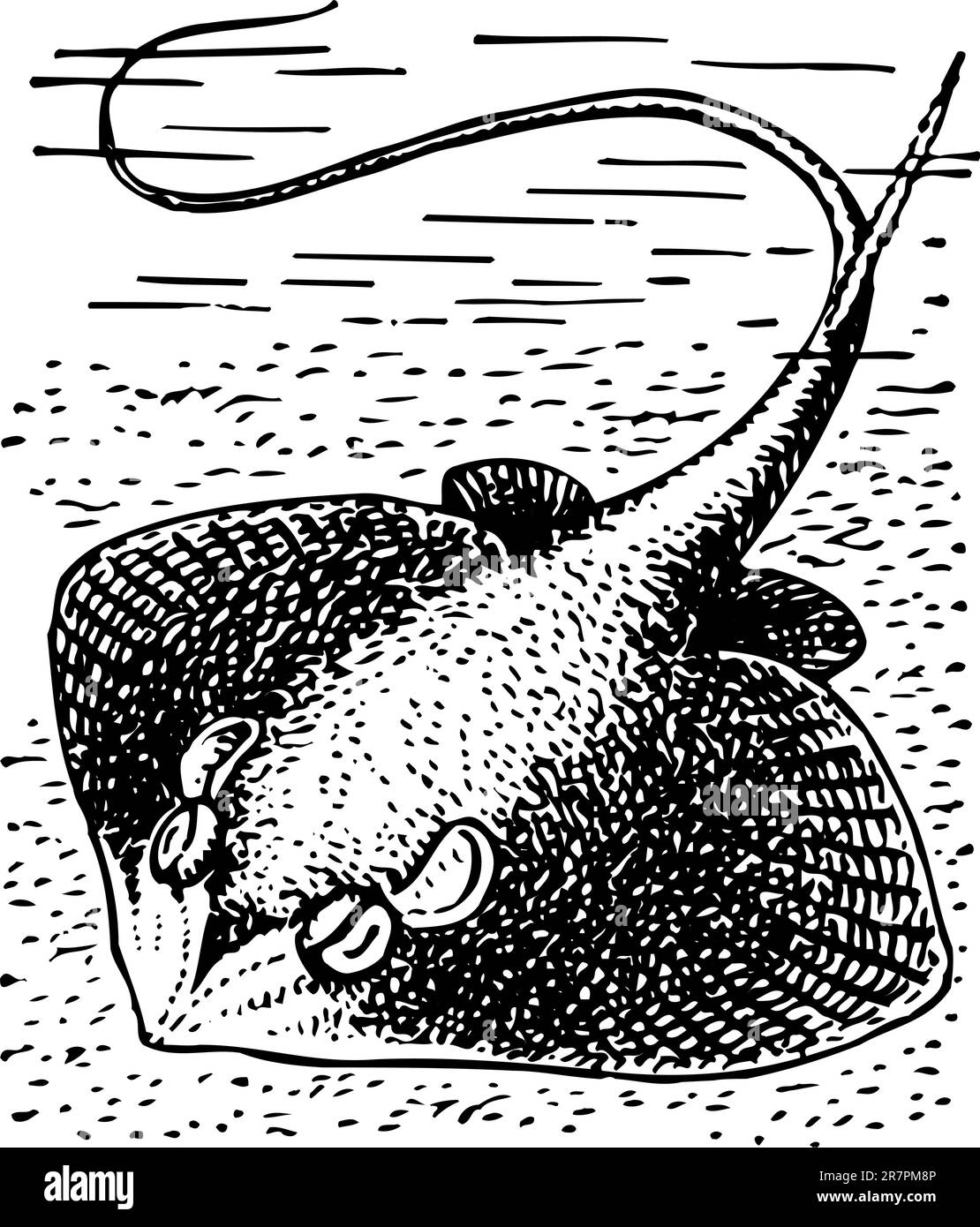 Rayez dans l'eau Illustration de Vecteur