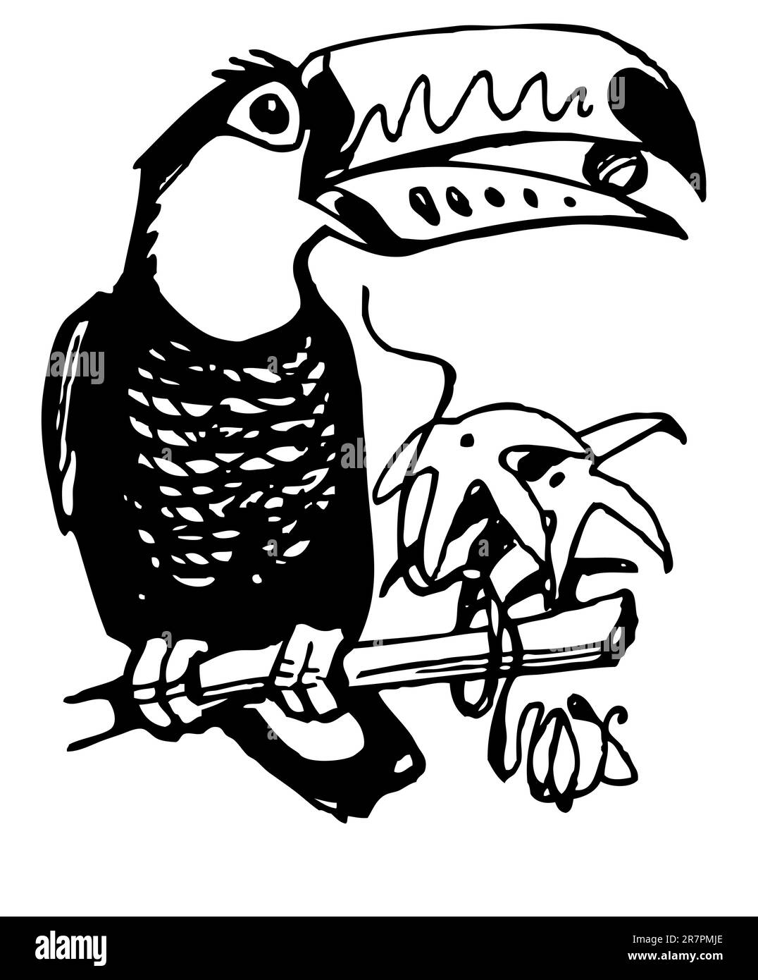 Toucan sur la branche Illustration de Vecteur