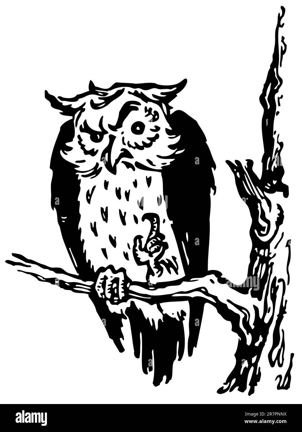 Hibou sage sur la branche Illustration de Vecteur