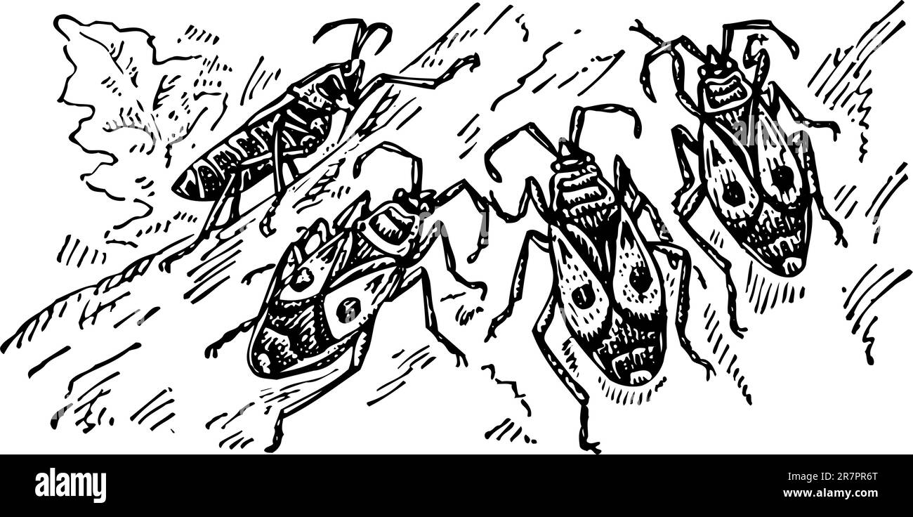 Quelques bugs de coloration sur l'arbre Illustration de Vecteur