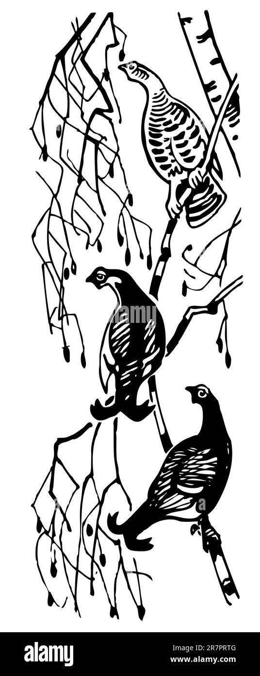 Tetrao oiseau Illustration de Vecteur