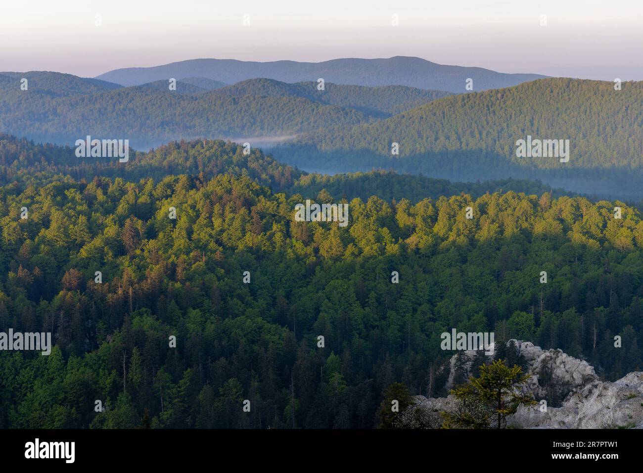 Vaste forêt sur les montagnes et la forêt de Bijele stijene, Croatie Banque D'Images