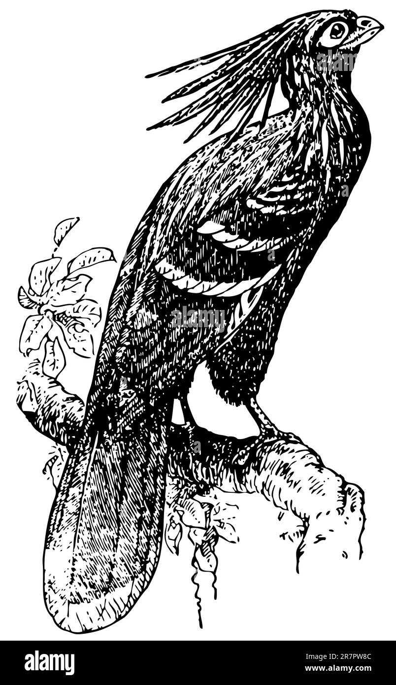 Sur la branche d'oiseaux Illustration de Vecteur