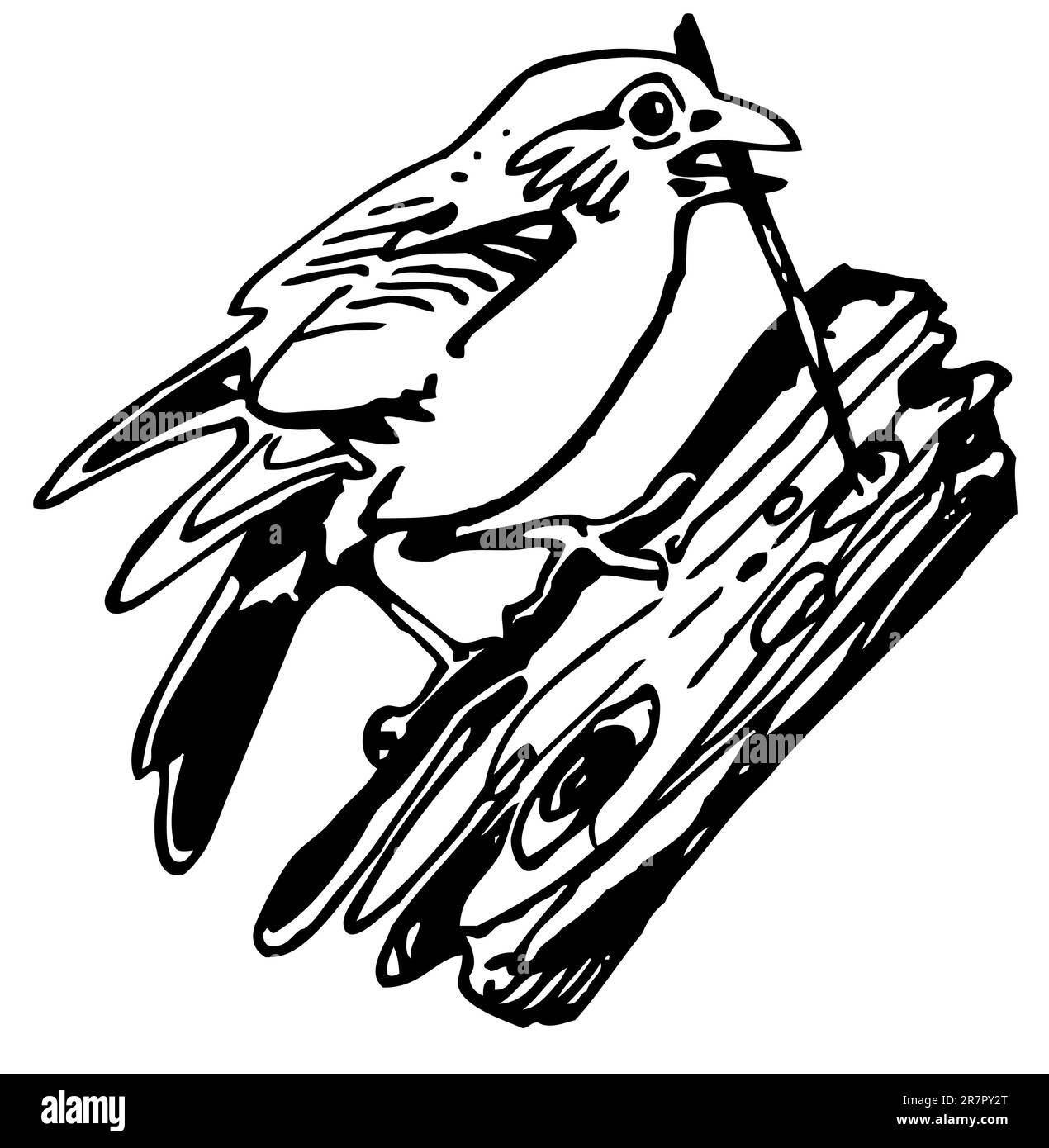 Sur la branche d'oiseaux Illustration de Vecteur Sur la branche d'oiseaux Illustration de Vecteur