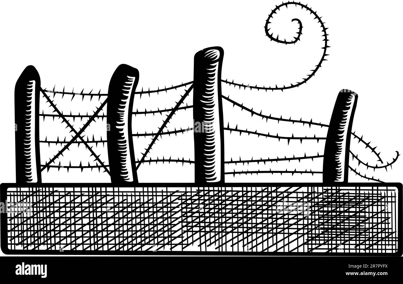 Morceau de fil barbelé sur fond blanc Illustration de Vecteur