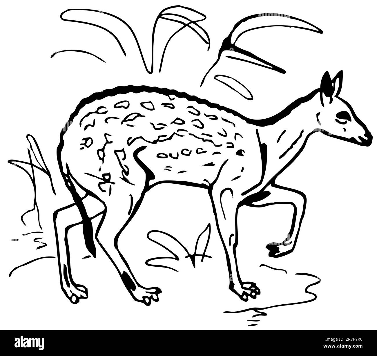 Les chevreuils dans le pré Illustration de Vecteur