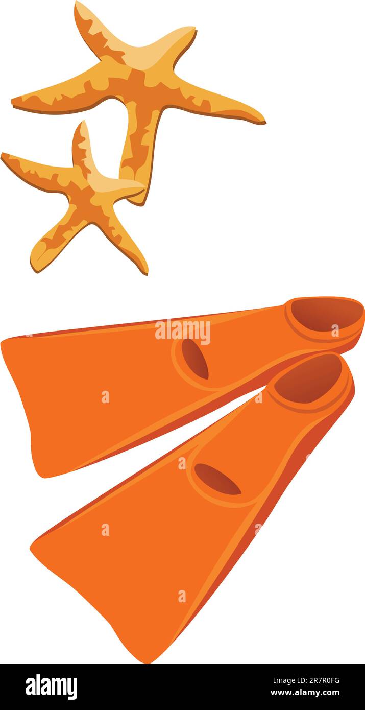 Nageoires et étoiles de mer sur fond blanc Illustration de Vecteur