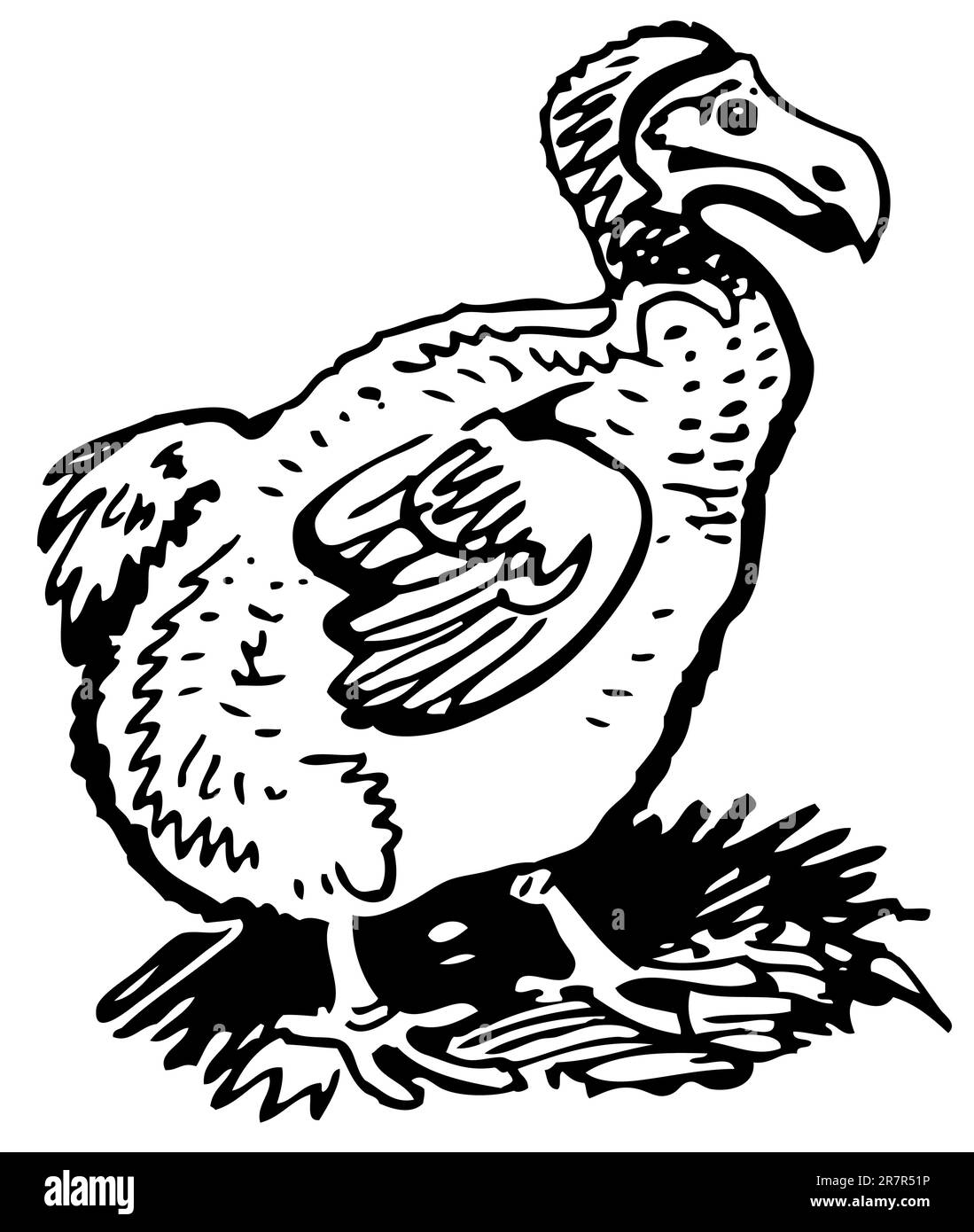 Dodo dans l'herbe Illustration de Vecteur Dodo dans l'herbe Illustration de Vecteur