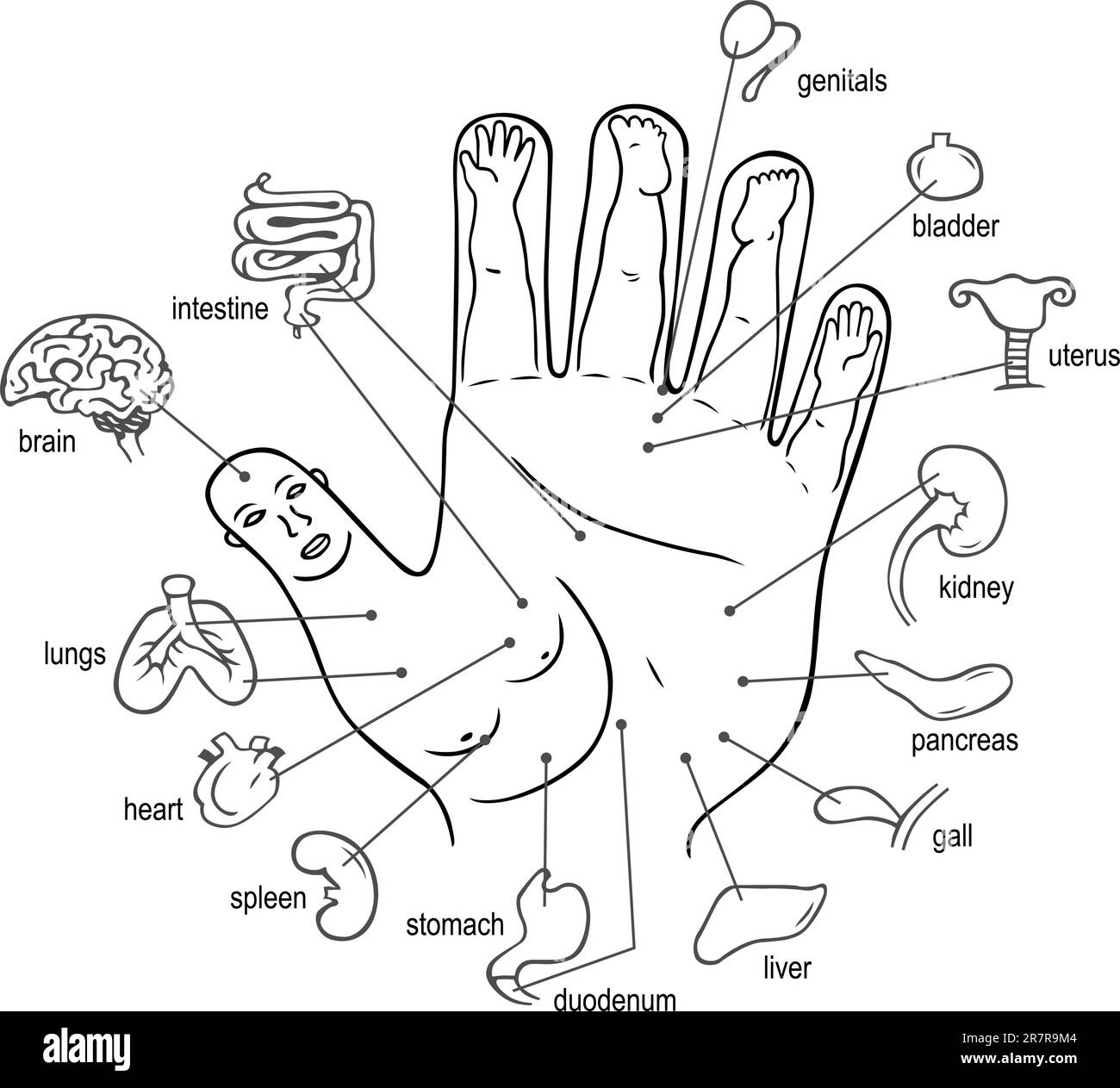 Acupuncture points sur la paume Illustration de Vecteur