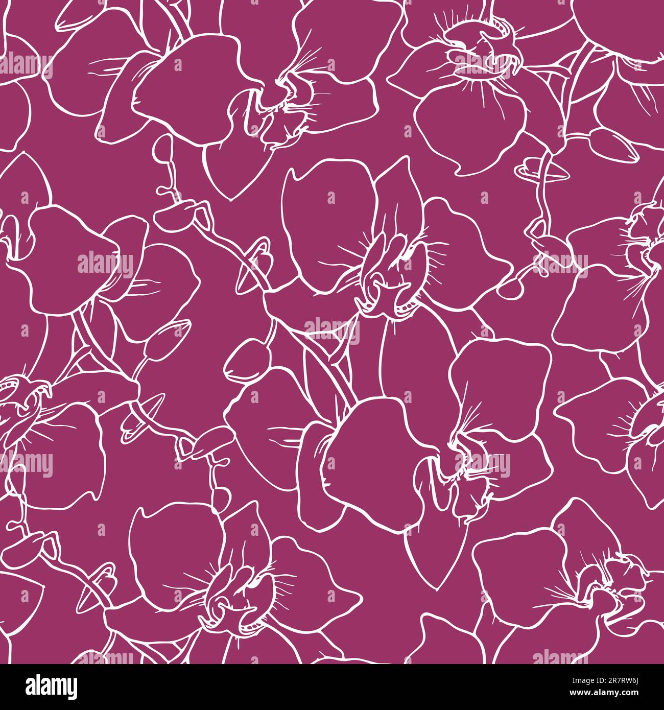 motif sans couture de grandes silhouettes blanches d'orchidées sur fond violet, texture, design Banque D'Images