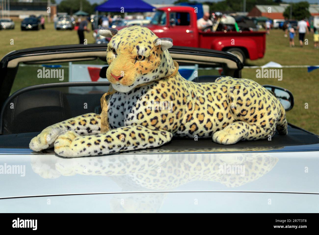 Jouet Jaguar en peluche. Manchester Classic & Performance Motor Show 2023. Banque D'Images