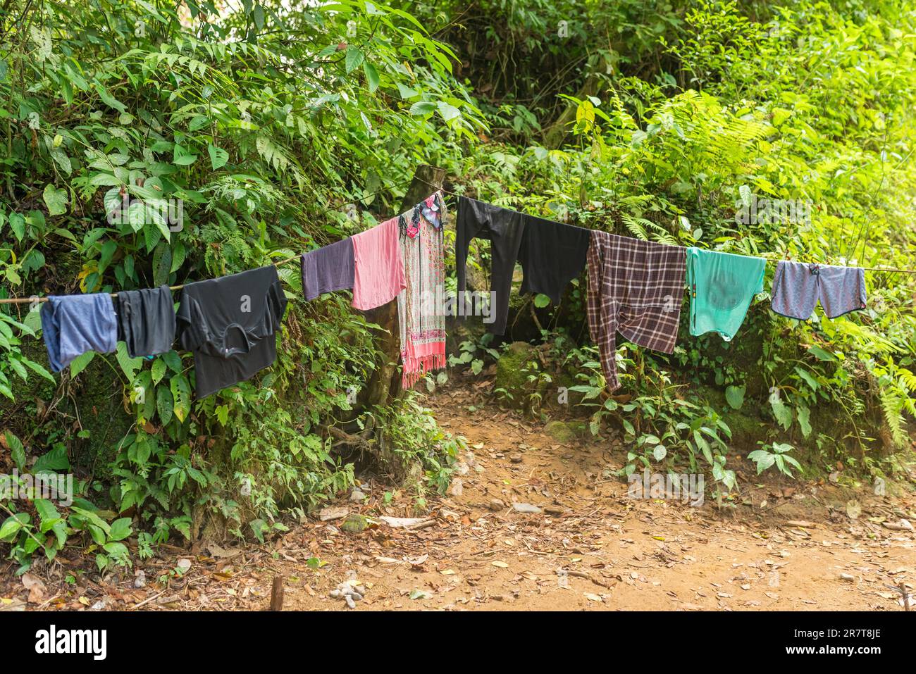 Après des heures de randonnée dans la pluie dans la jungle de Ketambe dans le parc national de Gunung Leuser, une corde à linge est très nécessaire pour sécher tout le mouillé Banque D'Images