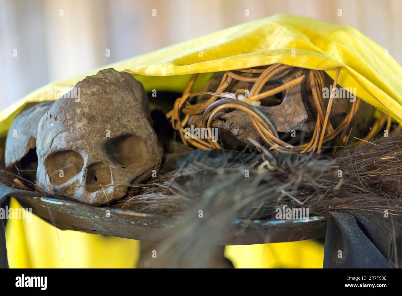 Crâne d'une victime sacrificielle d'un chasseur de tête montré dans une maison de la tribu IBAN dans le village culturel Sarawak sur Bornéo Banque D'Images