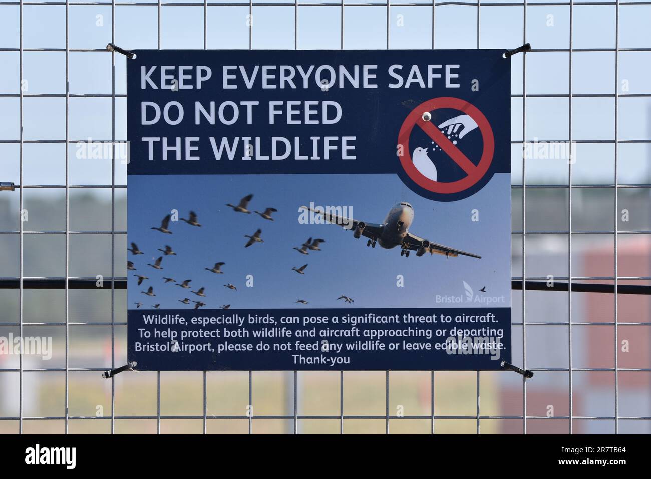 Un panneau sur une barrière de sécurité d'aéroport indiquant « garder tout le monde en sécurité ne pas nourrir la faune » les oiseaux représentent une menace importante pour les avions Banque D'Images