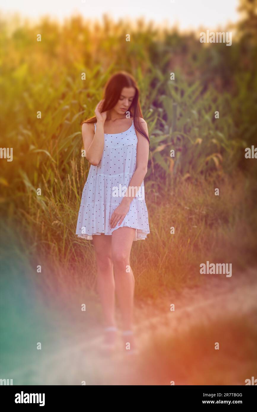 Jeune belle femme en robe blanche dans champ de maïs Banque D'Images