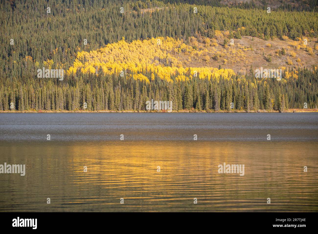 Réflexion, nature photographiée dans le nord du Canada, à l'automne, dans les couleurs d'automne les plus vives, avec des montagnes se reflétant dans le lac en dessous.Ciel bleu le jour parfait. Banque D'Images