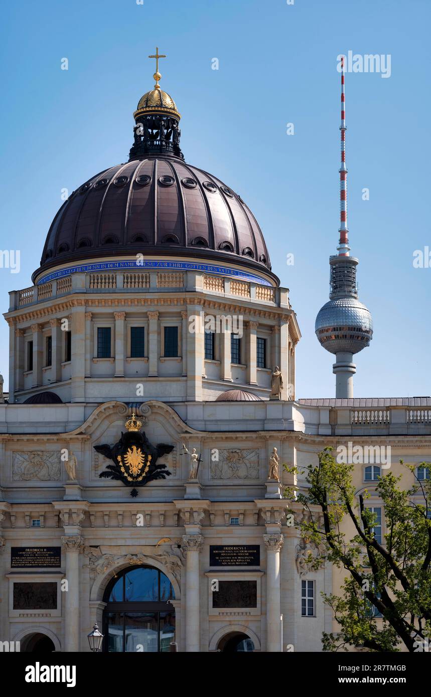 Dôme du Forum Humboldt, Palais de la ville, Château de Berlin, Tour Alex TV, Berlin, Allemagne Banque D'Images