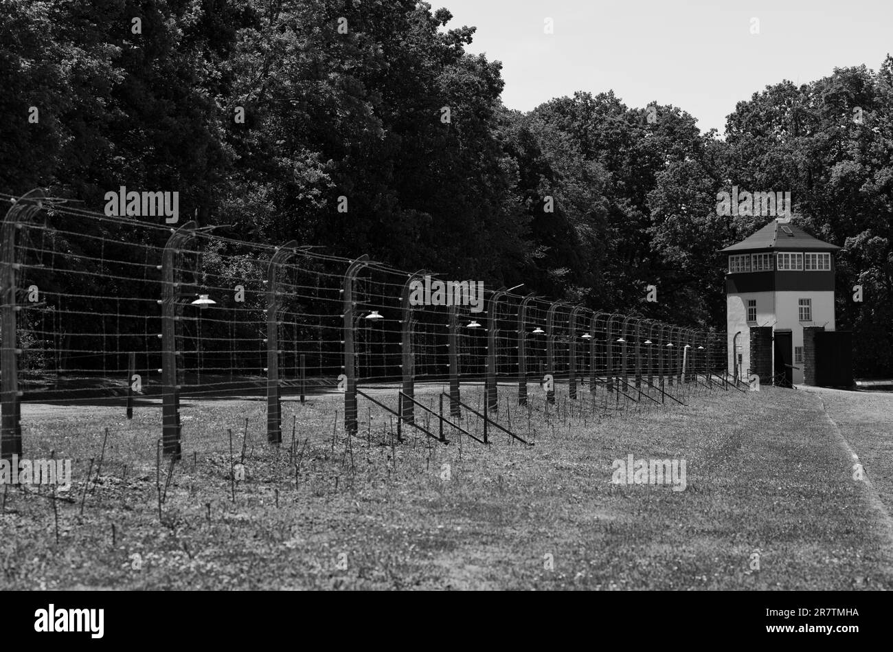 Clôture de camp reconstruite avec tour de guet, ancienne forêt de hêtres de camp de concentration, aujourd'hui site commémoratif, noir et blanc, Weimar, Thuringe, Allemagne Banque D'Images